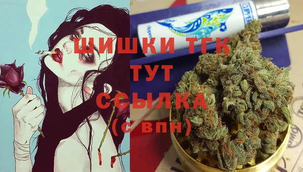 стафф Бородино